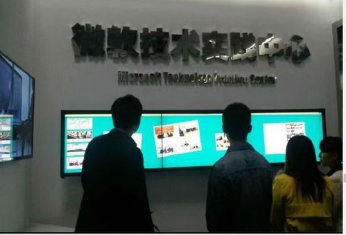 軟件開發(fā) 研究、設(shè)計(jì)、開發(fā)與維護(hù)計(jì)算機(jī)軟硬件系統(tǒng)的綜合能力